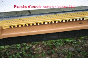 planche_4.jpg